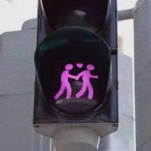 看片免费播放器
